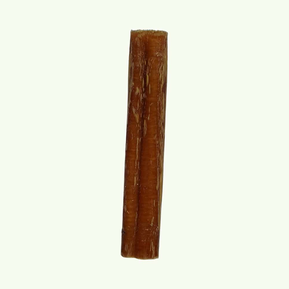 Single beef bully pizzle stick on a light green background