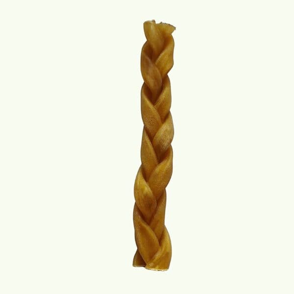 Single braided lamb chew for dogs on a light green background