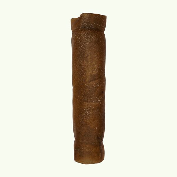 Single small camel roll dog chew on a light green background