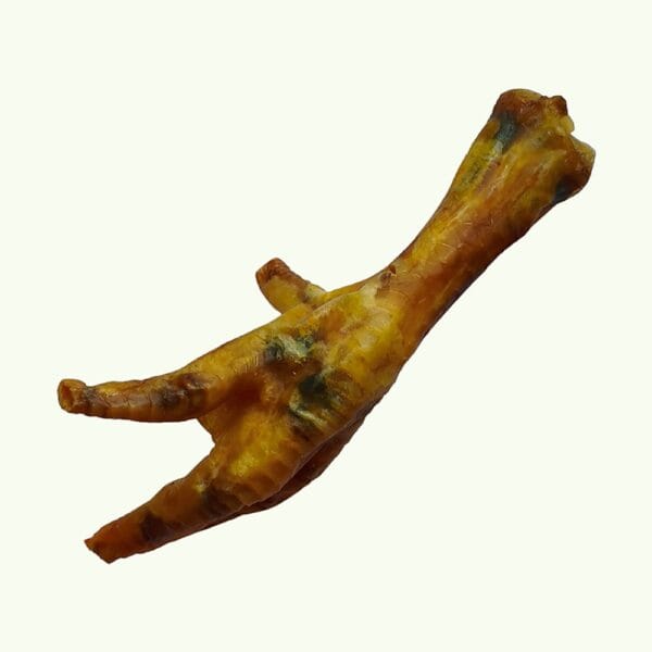 Single dried chicken foot dog treat on a light green background