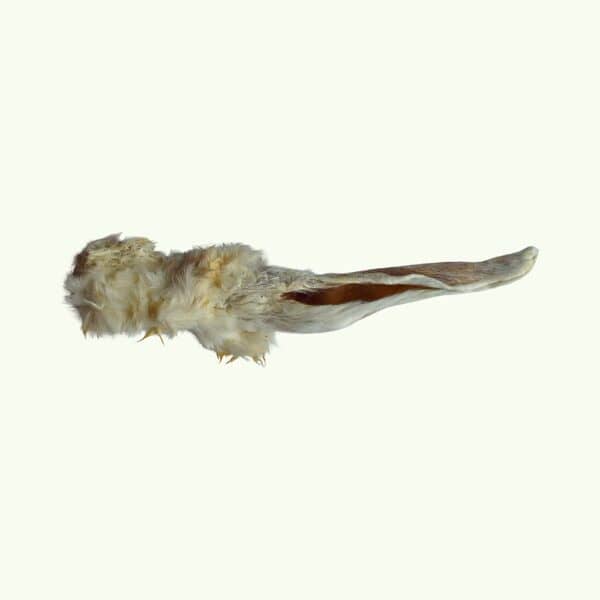 Hairy rabbit ear natural dog treat on a light green background