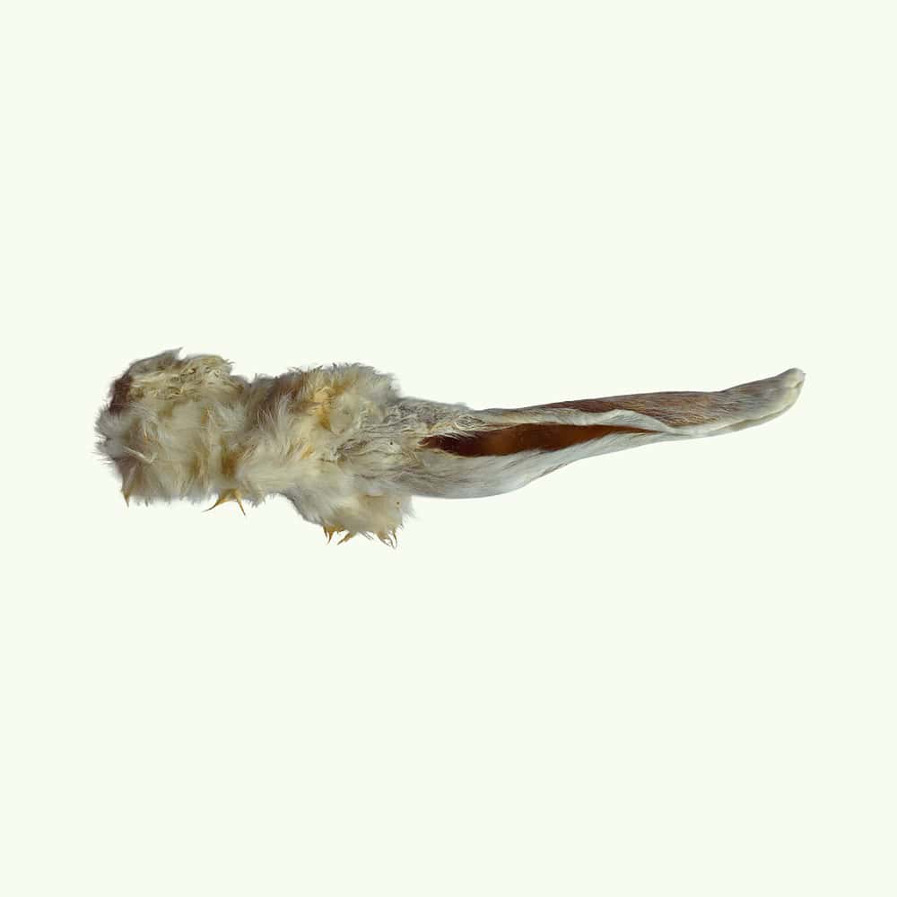 Hairy rabbit ear natural dog treat on a light green background