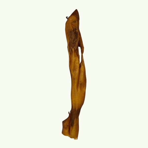 Single venison skin chew for dogs on a light green background