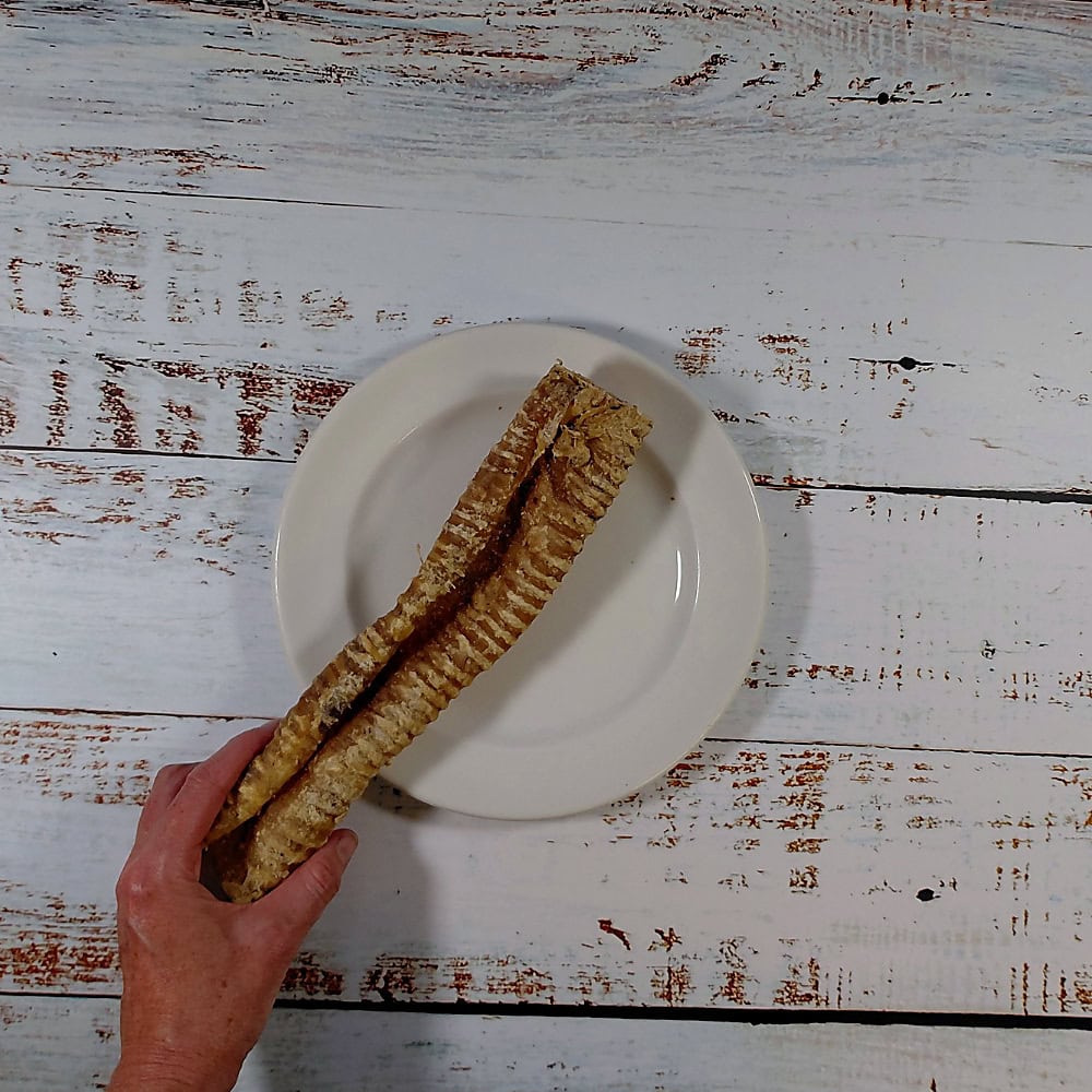A hand holding two Buffalo Tubes dog chews above a cream plate to show their length