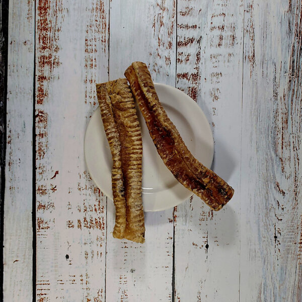 Two Buffalo Tubes natural dog chews on a cream plate on a whitewashed wooden board