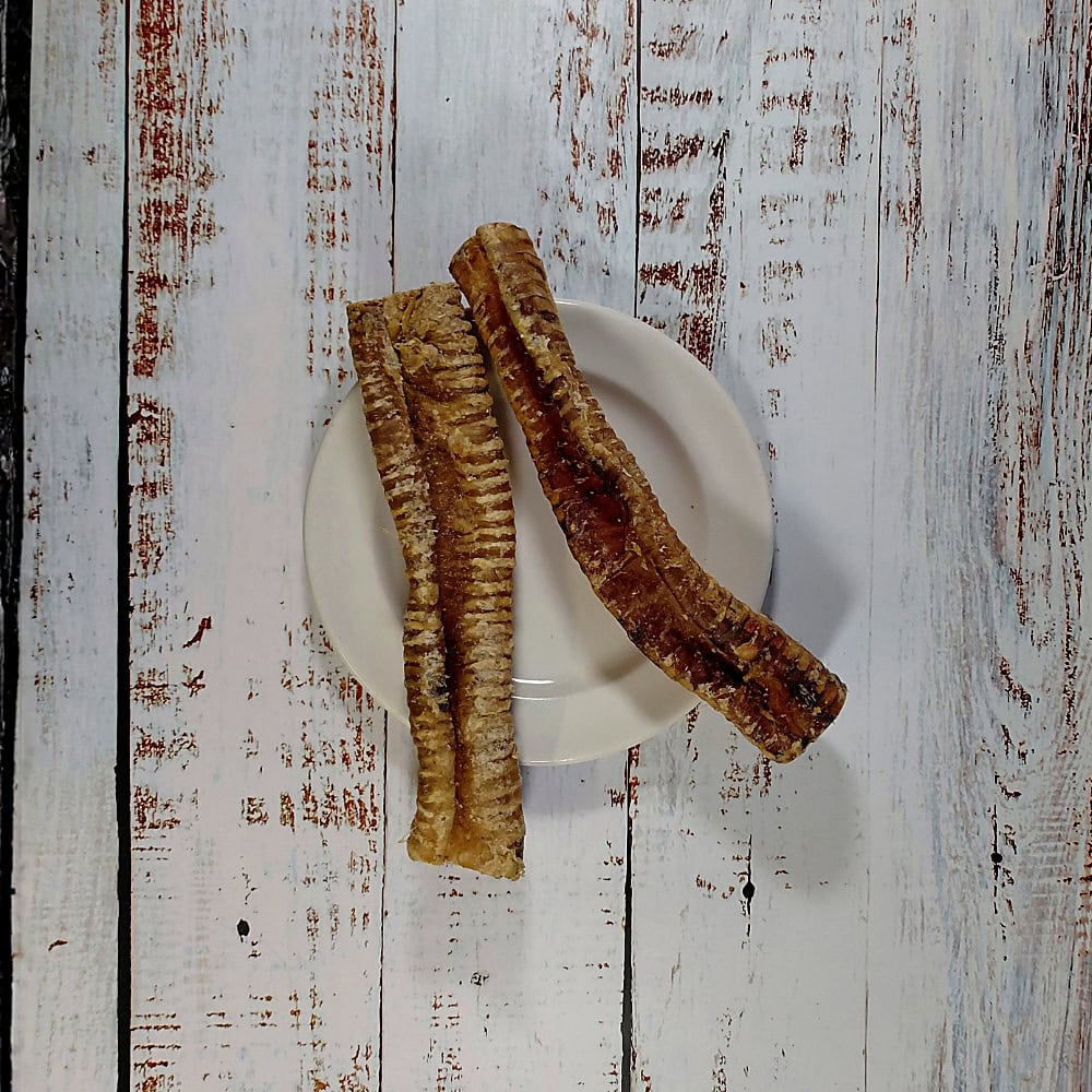 Two Buffalo Tubes natural dog chews on a cream plate on a whitewashed wooden board