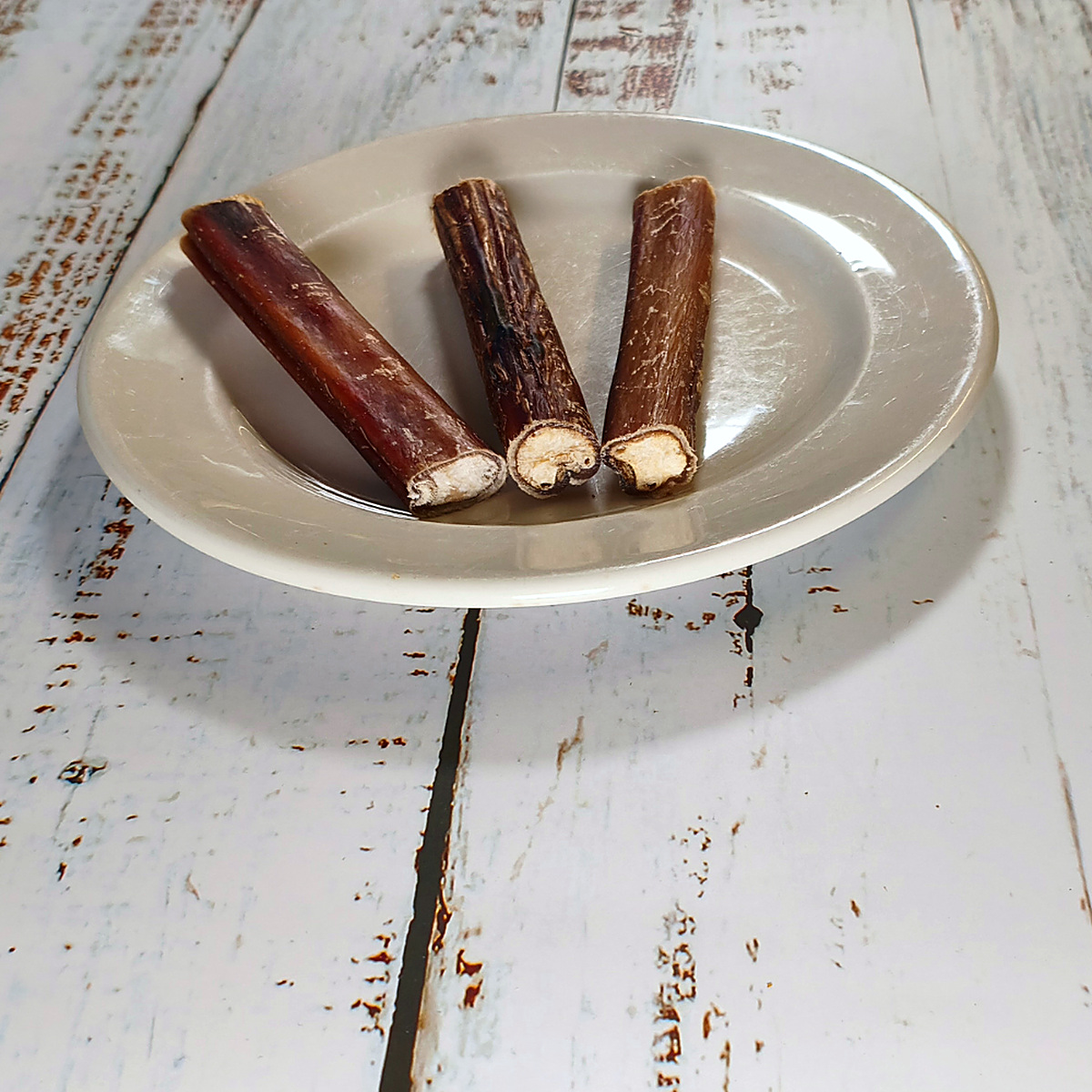 Close up of bully pizzle sticks showing the cut ends