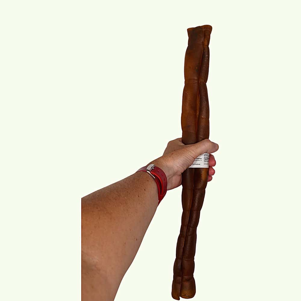 A large camel skin roll held in a hand to show its length and thickness