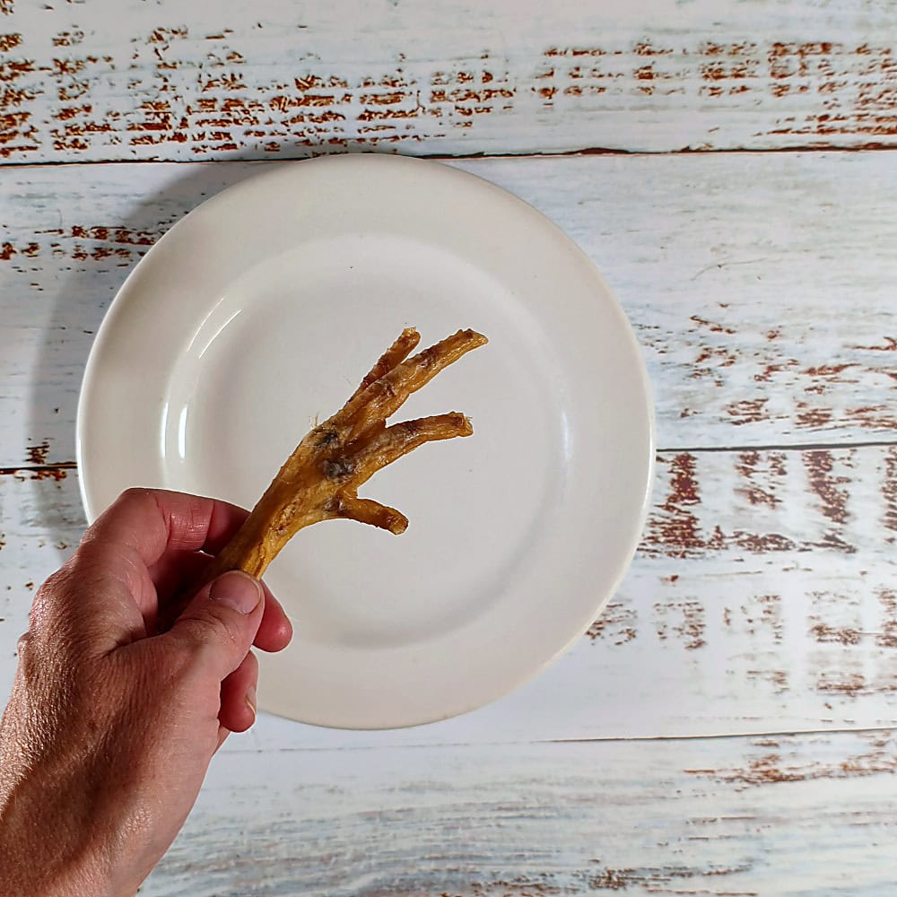 A single chicken feet dog chew held in a hand to show its size