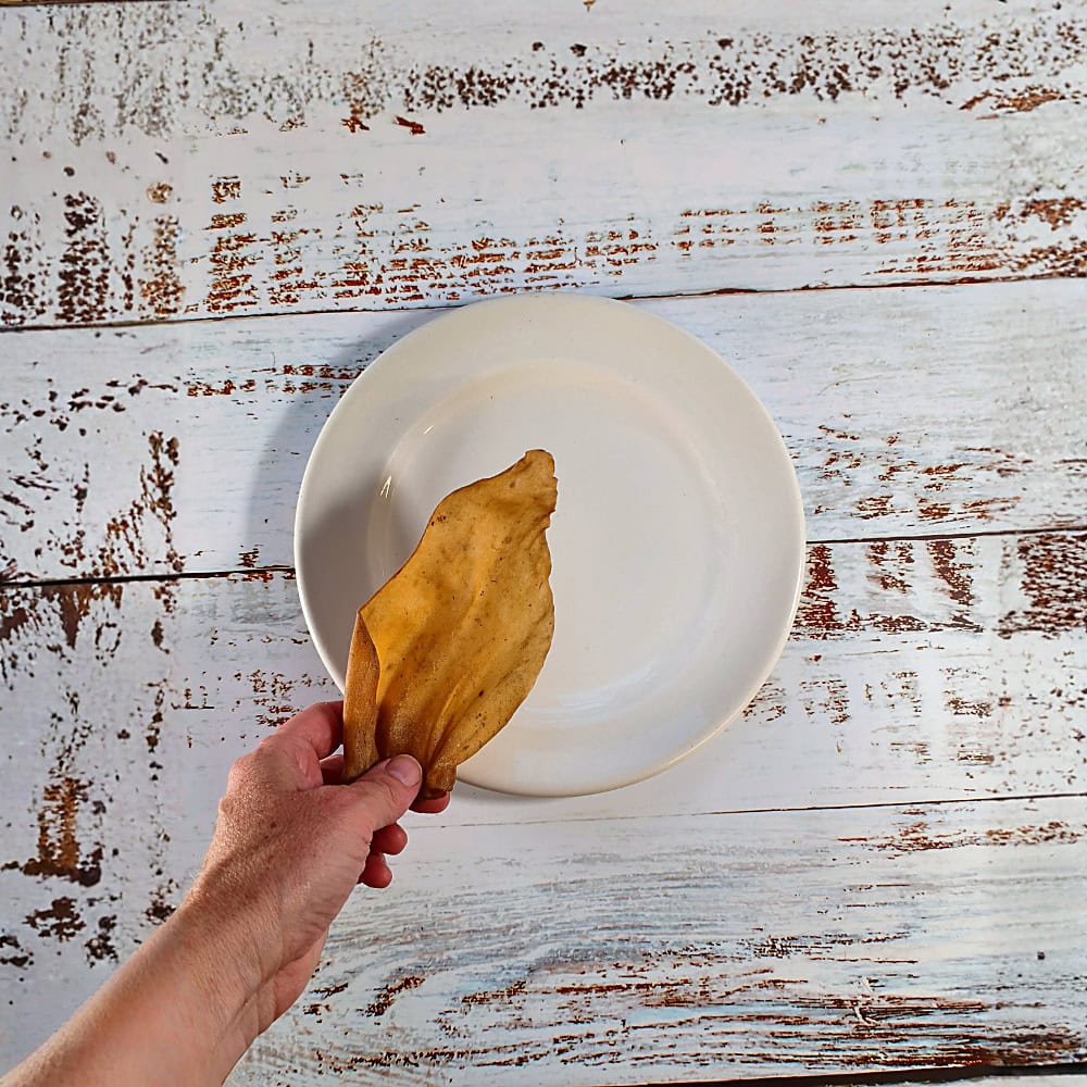 A hand holding a Cows Ear dog chew above a cream plate to show its size