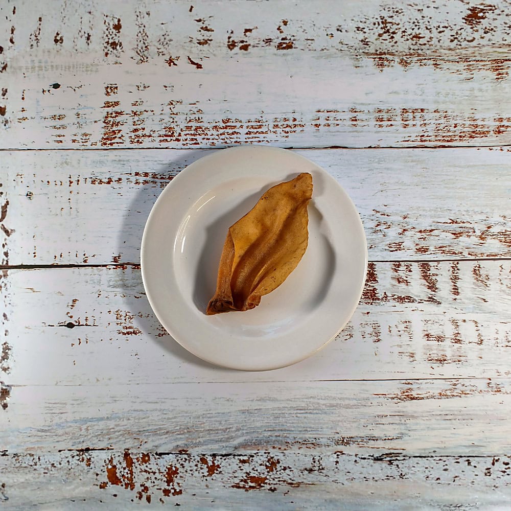 A single Cows Ear dog chew on a cream plate, showing its natural size and shape