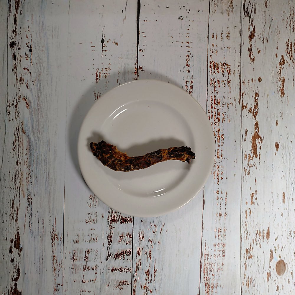 A single duck neck dog chew on a cream plate, showing its natural size and shape