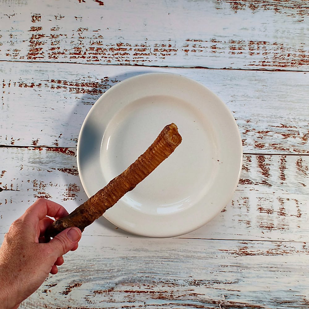 A hand holding a Lamb Tube dog chew above a cream plate to show its length