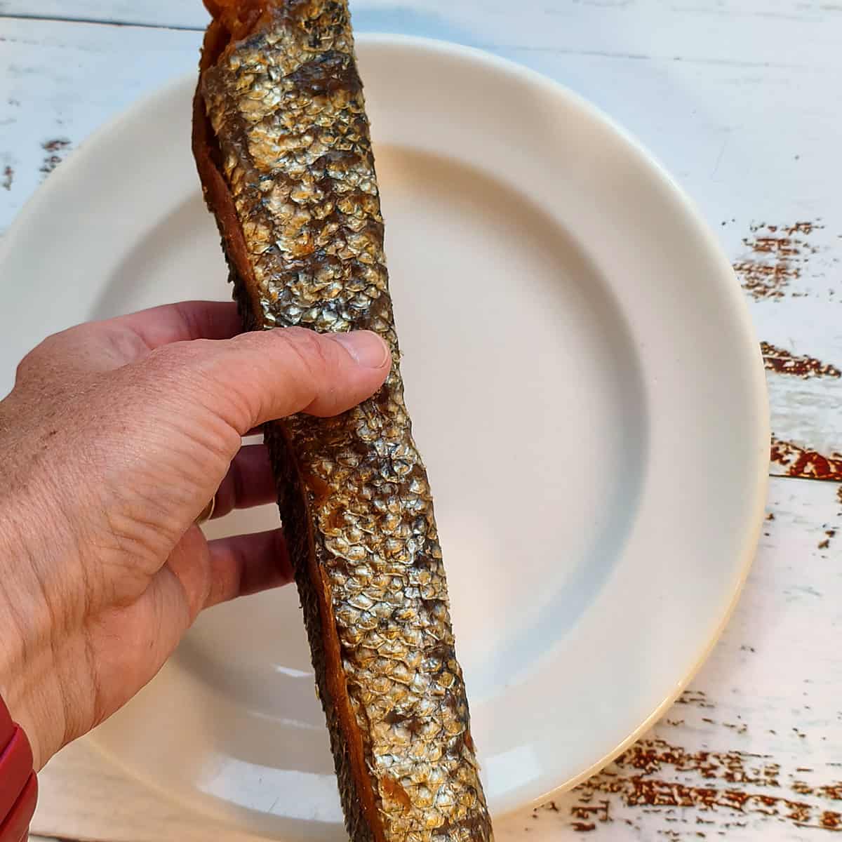 Hand holding a salmon skin roll to show its size
